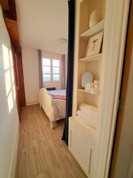 Charmant Duplex A Thiers, Vue Sur La Chaine Des Puys Luaran gambar